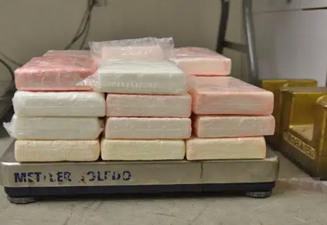Aseguran más de 700 mil dólares en cocaína durante operativo en frontera con Tamaulipas