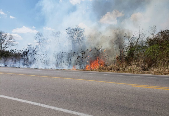 Previenen incendios en tramos carreteros de Río Bravo