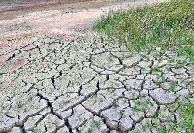 Cuatro municipios de Tamaulipas se encuentran en “sequía excepcional”