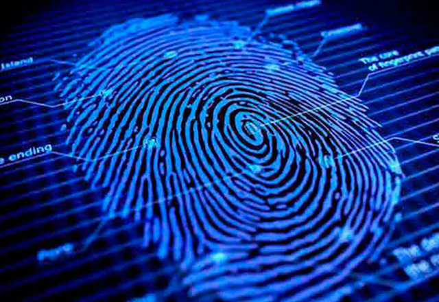 Fiscalía identifica a 581 personas no reconocidas en Tamaulipas