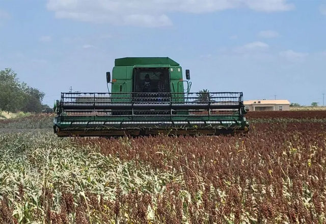 Agricultores en Tamaulipas amagan con retomar bloqueos