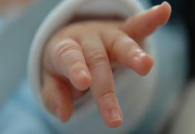 Mu3re bebé recién nacida tras ataque de perro en Michigan, EUA