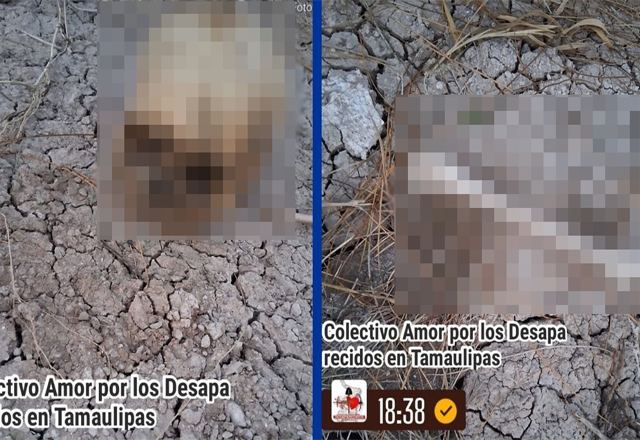 Colectivo localiza r3st0s humanos en ejido Palo Blanco