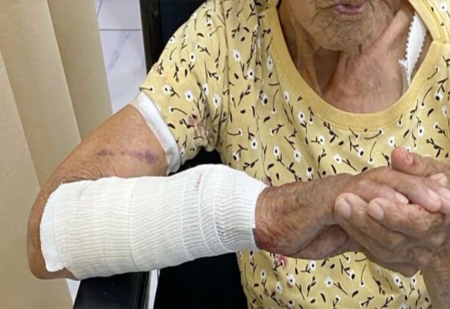 Pastor Alemán Presuntamente Ingresa a Vivienda y Ataca a Abuelita
