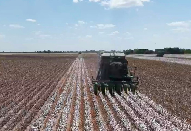 Productores de Tamaulipas alistan protesta ante falta de apoyos