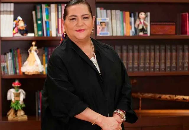 Taddei notifica su renuncia como presidenta del INE